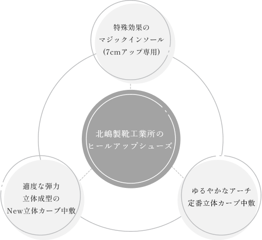 足裏を支えるヒールアップシューズ専用インヒール